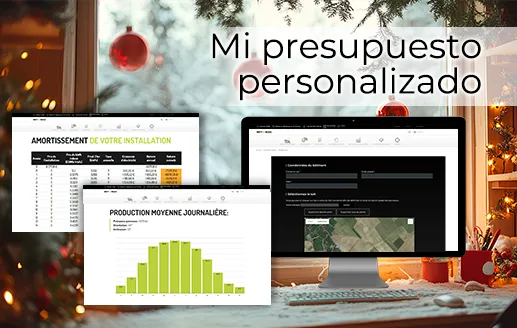 Personalice su presupuesto en pocos minutos.